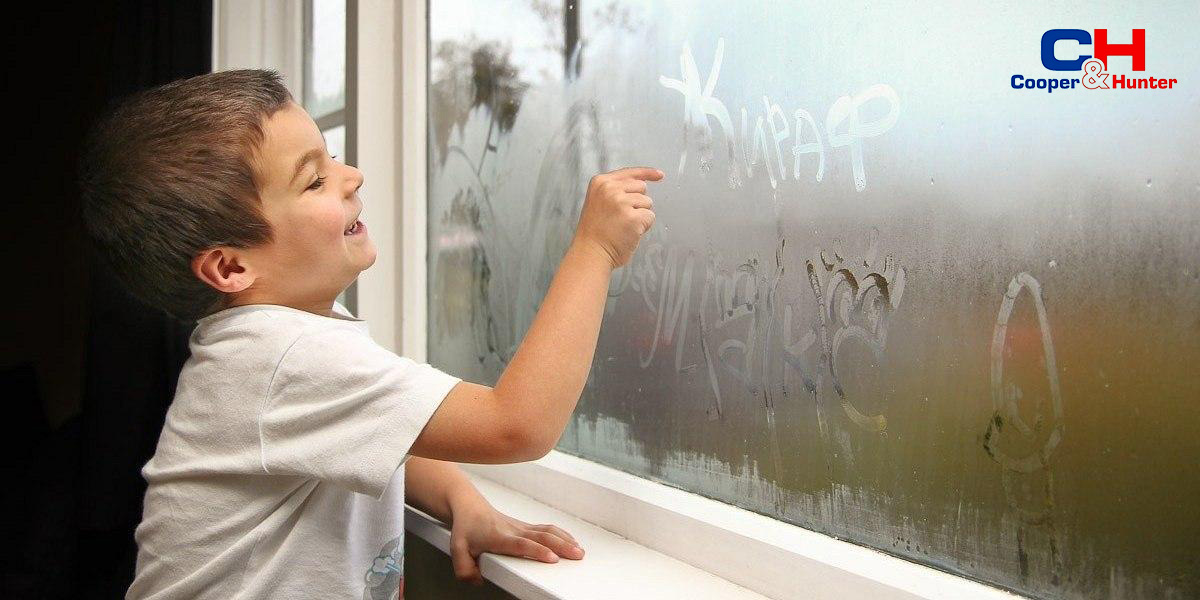 высокая влажность в доме